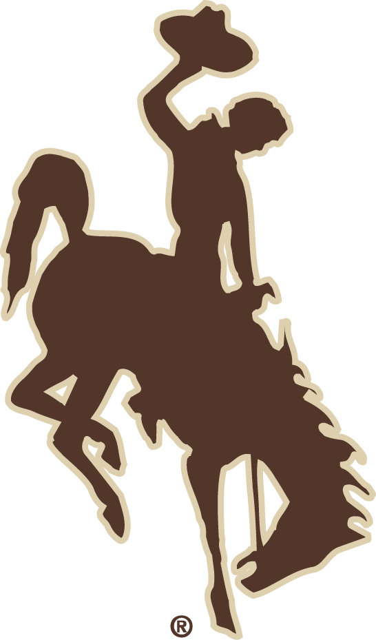 Wyoming Cowboys 2006-2012 Alternate Logo iron on transfers for T-shirts